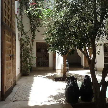 Riad Matham-3